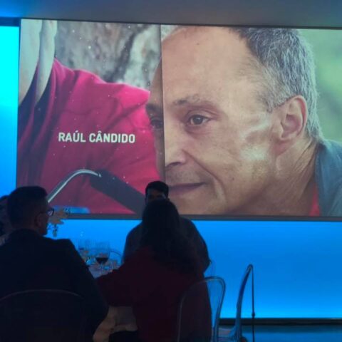 Comité Paralímpico de parabéns