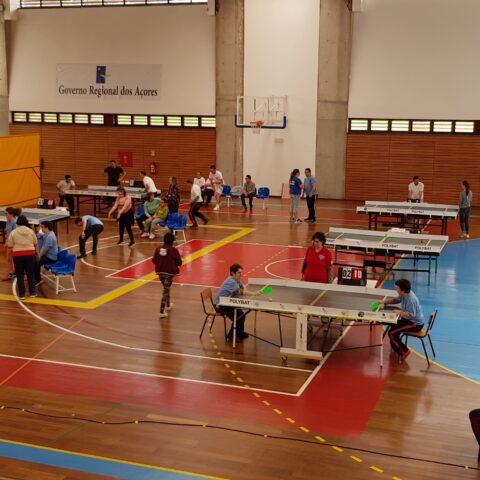Polybat a crescer na Ilha da Terceira, Açores
