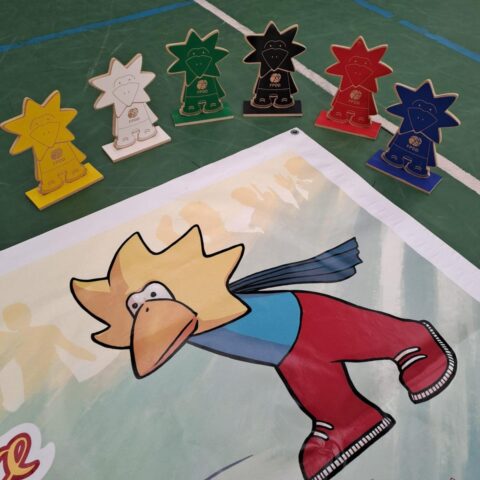 Lançamento de Inquéritos para levantamento de necessidades e Interesses – Projeto BrInCa