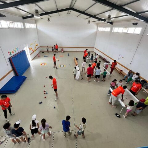 BrInCa – Brincar, Incluir e Capacitar